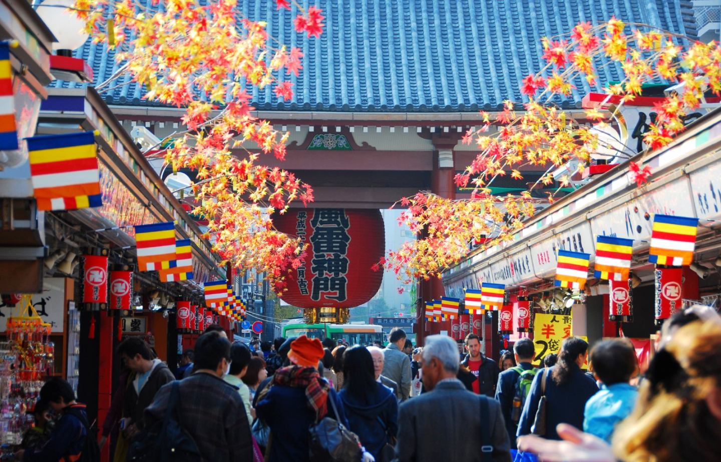 【雪季】日本本州冬日5晚6日游(ho吉祥,名东,东京一日自由,不走回头路