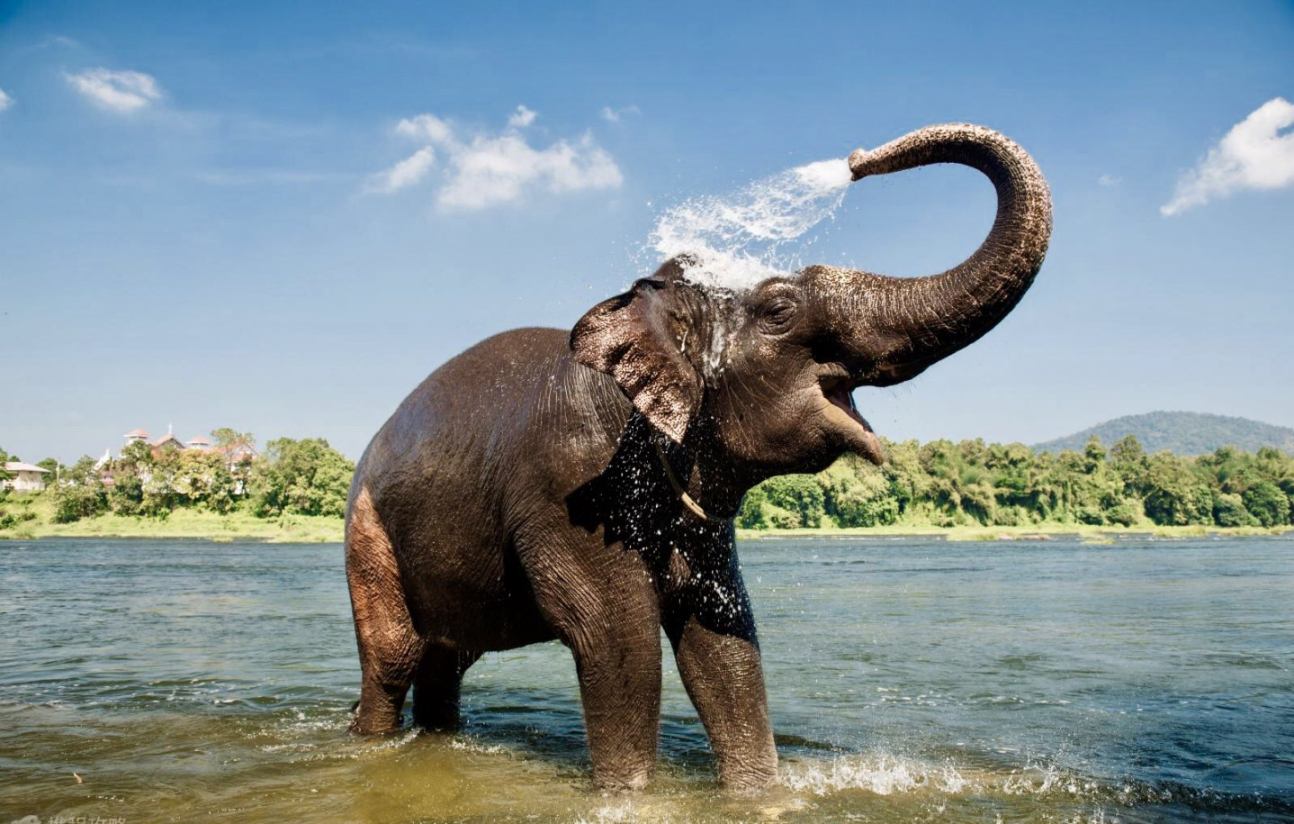 清迈 清莱 金三角4晚6日游(9c直飞,清莱1晚独栋别墅,大象营,双夜市