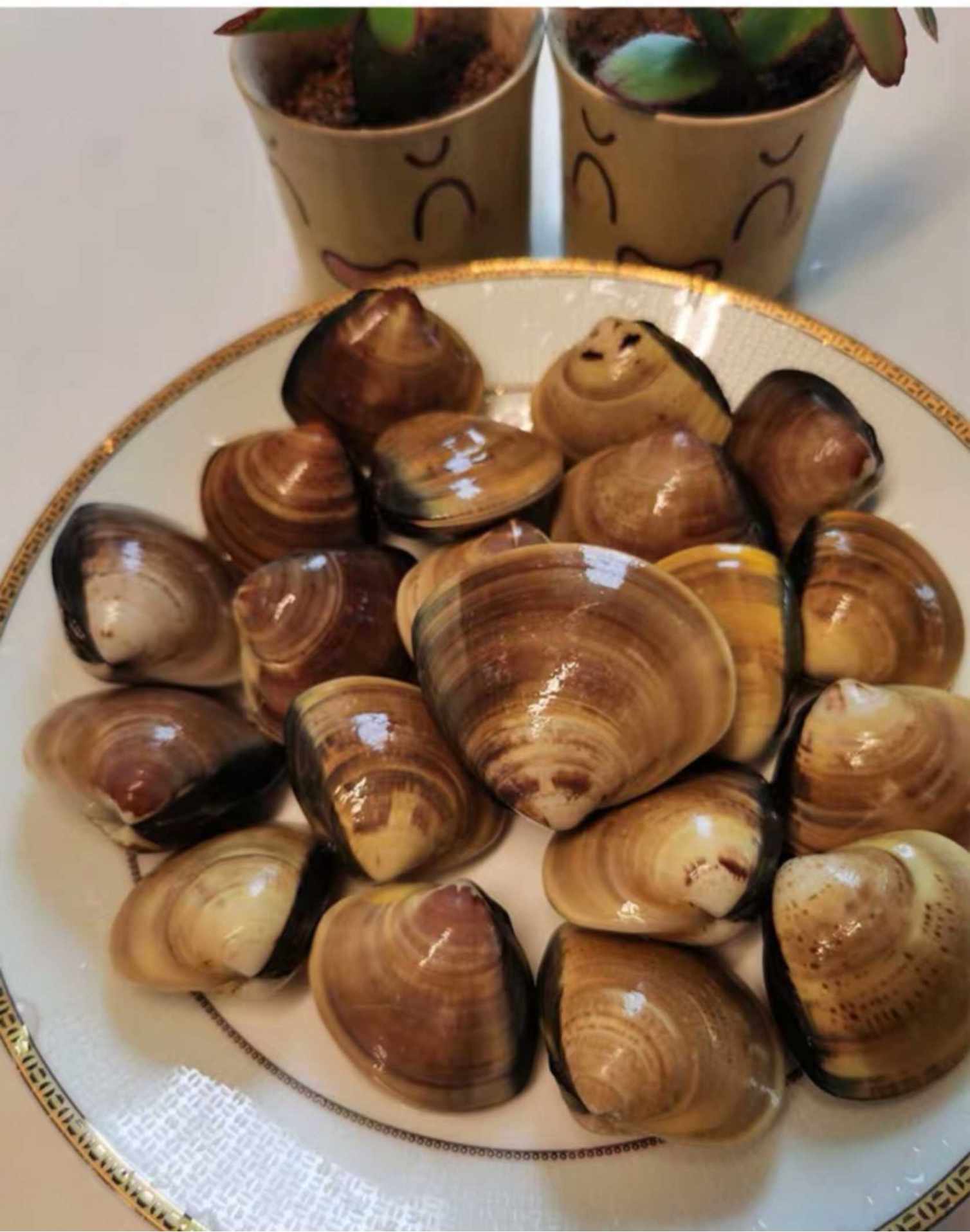 【海鲜大咖】山东海鲜活体直发 4斤装仅售145元!