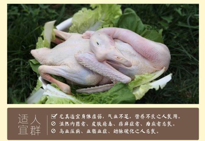 【产地直发 溱湖散养大白鹅】118元/只(净重4.