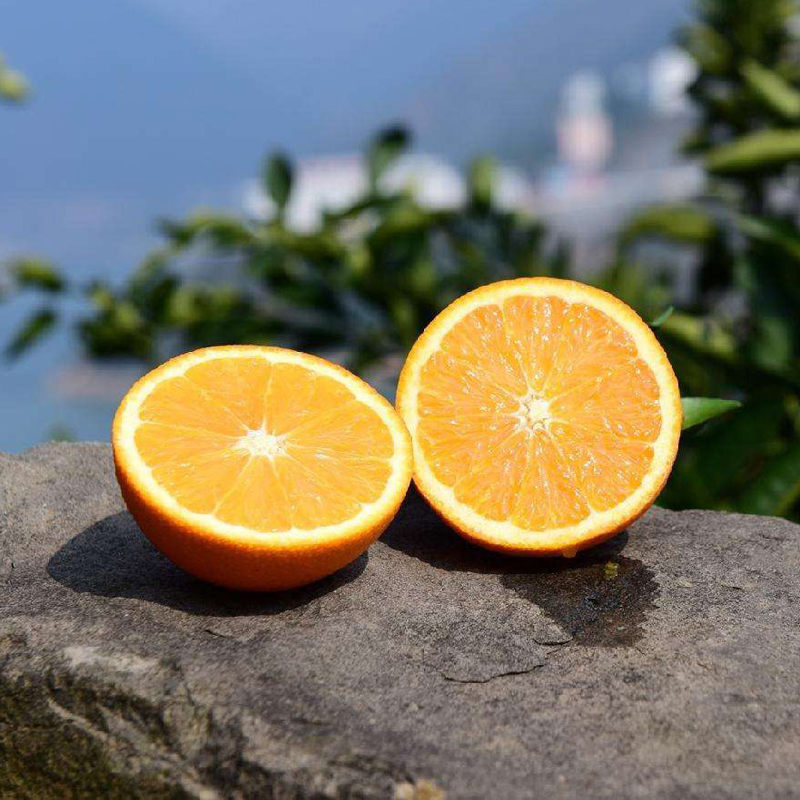 旅游产品导航 更多