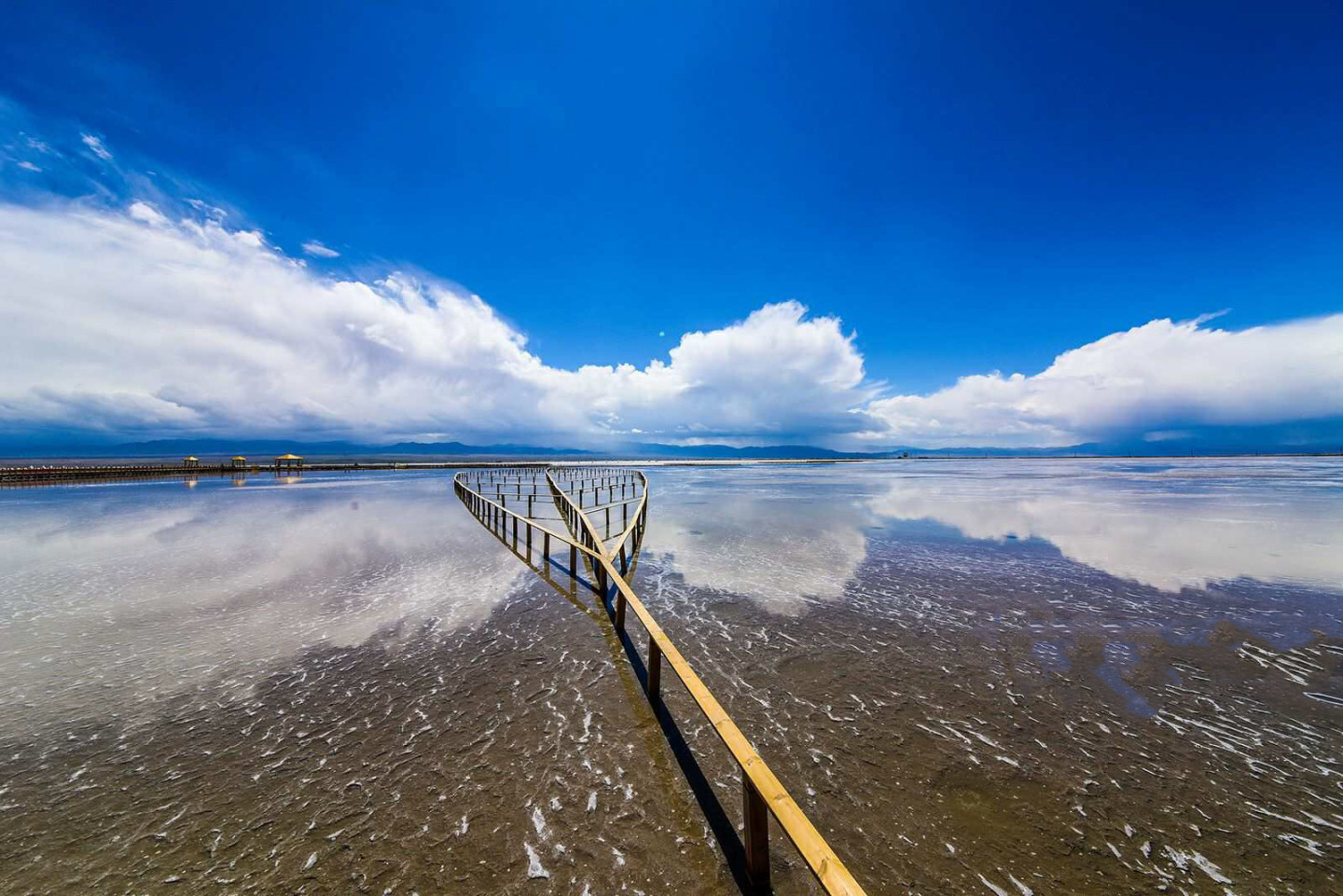 西宁塔尔寺,贵德阿什贡,茶卡天空壹号,青海湖,金银滩,原子城纪念馆
