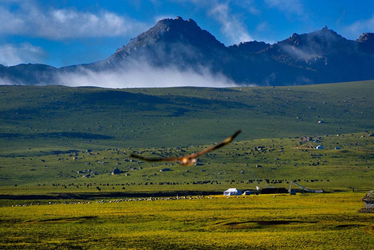 秘境昆仑兰州拉卜楞寺甘南草原茶卡盐湖青海湖金银滩草原塔尔寺双飞6