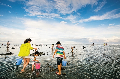 厦门后田海滩赶海图片