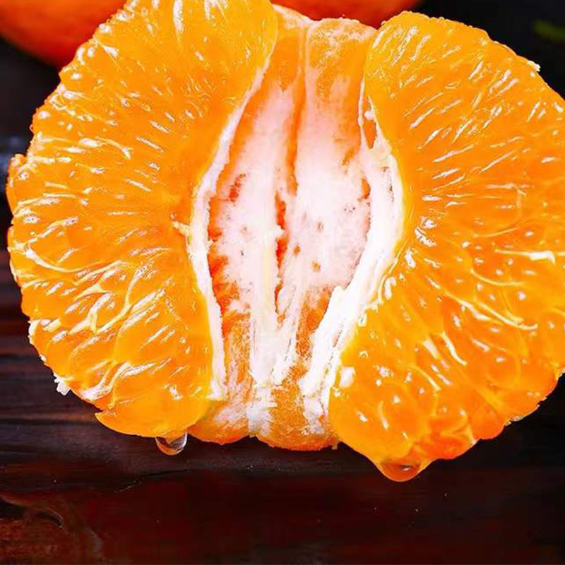 【云南宾川椪柑】5斤中果(16-18个装)新鲜橘子,现摘现发,产地直发,纯